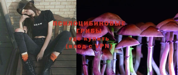 тгк Володарск