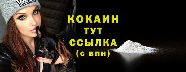 мдпв Волоколамск