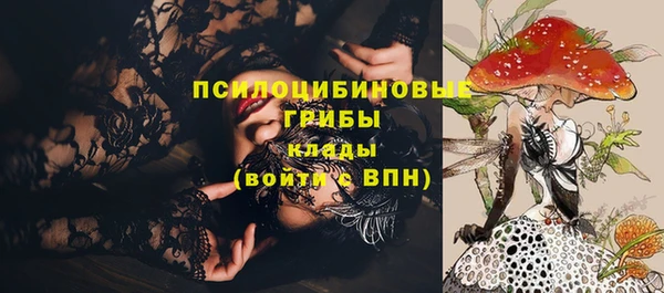тгк Володарск