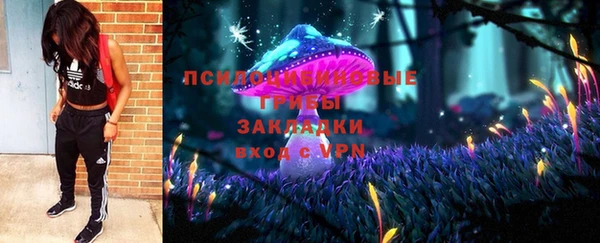 тгк Володарск