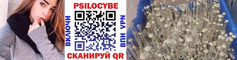 Галлюциногенные грибы Magic Shrooms  MEGA tor  Питкяранта 